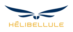 SOFIN investment firm HÉLIBELLULE logo